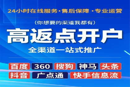 成功SEM推广代运营案例分享